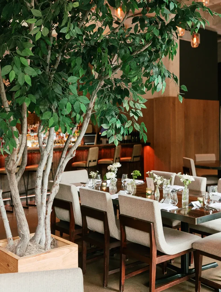 Indoor dining space with a long set table, cushioned chairs, floral centerpieces, and a large potted tree near the bar.